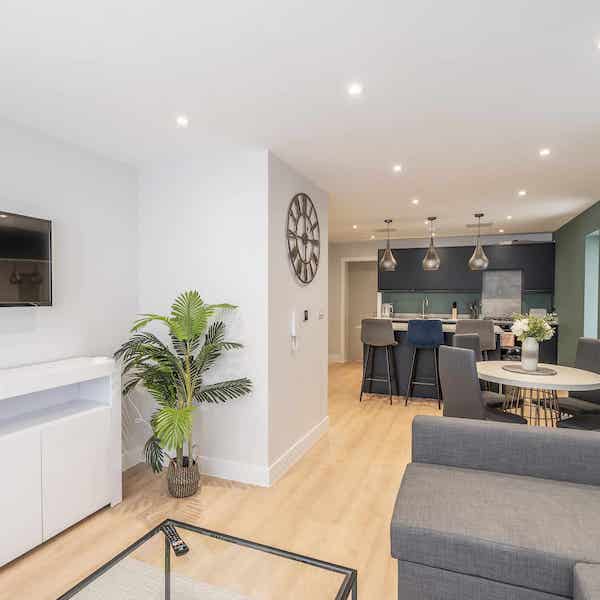 A view of the living area with a TV on the left wall next to a large potted plant, a sofa on the right, and beyond can be seen the dining table and kitchen area